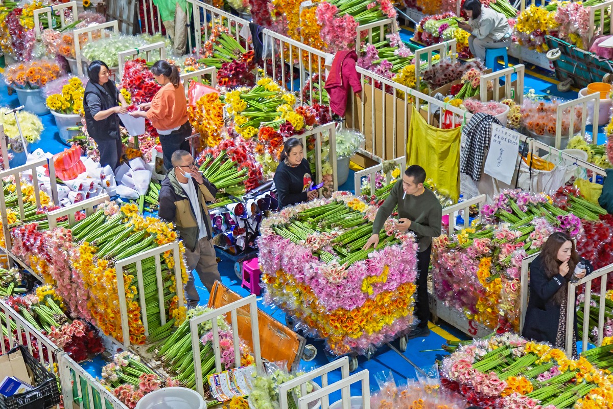 Asia's largest flower market in Kunming