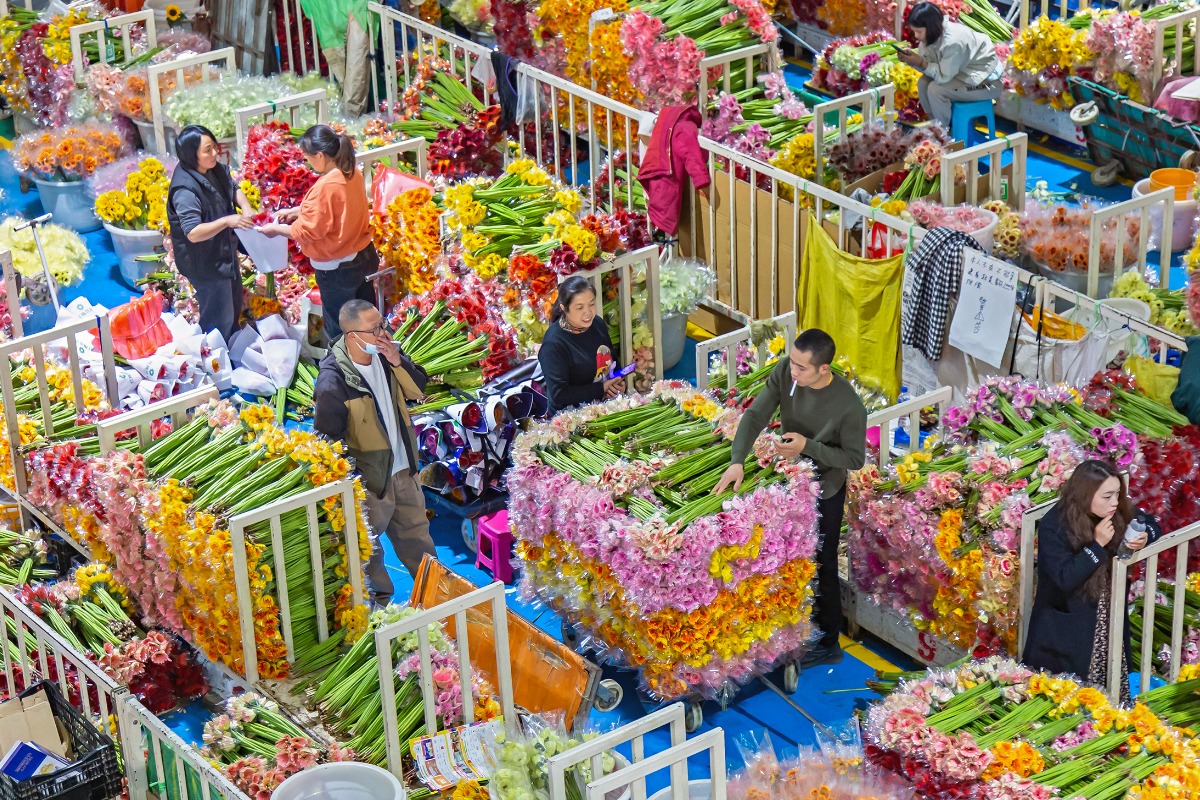 Asia's largest flower market in Kunming