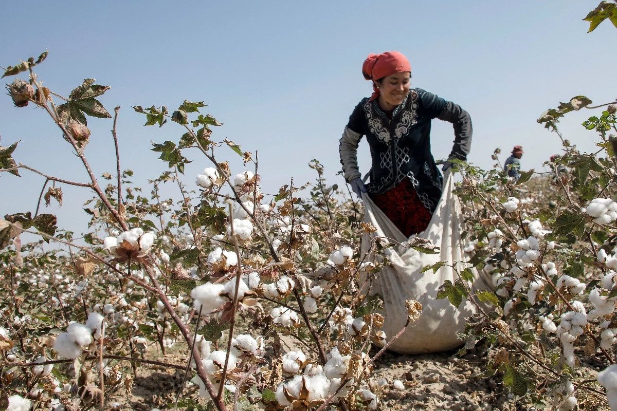 Agricultural development – cooperation of farmers, producers and scientists