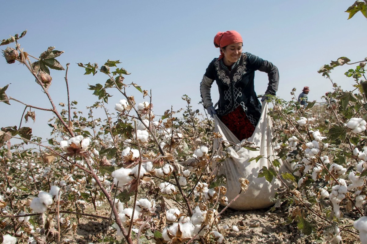 Agricultural development – cooperation of farmers, producers and scientists