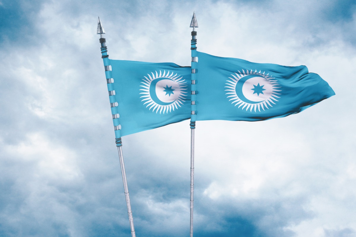 Current State, Comparative Dynamics, and Development Prospects of Relations with the Organization of Turkic States
